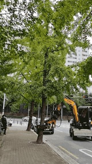 搞笑囧图：质数在生活中有什么作用？没有美女的行业是没有前途的