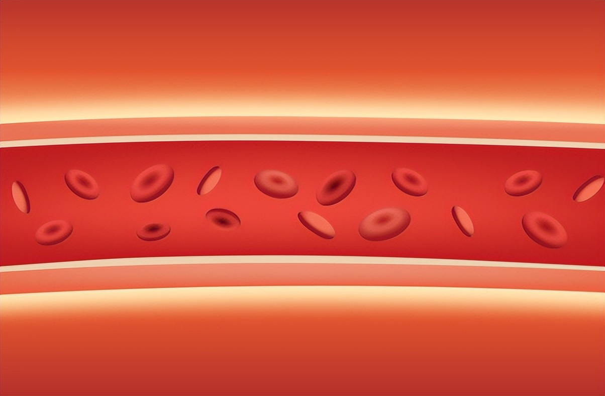 红酒泡洋葱能软化血管吗,红酒泡洋葱能否软化血管