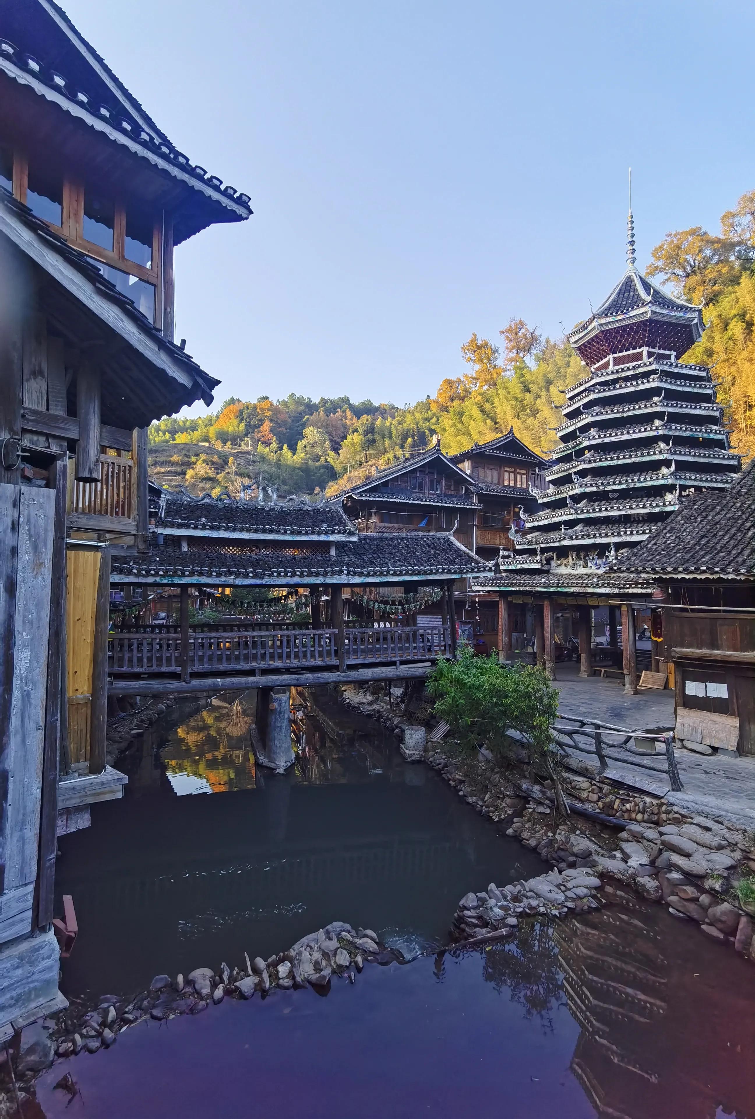 疫情中的成长与收获,疫情期间自己的收获和感受