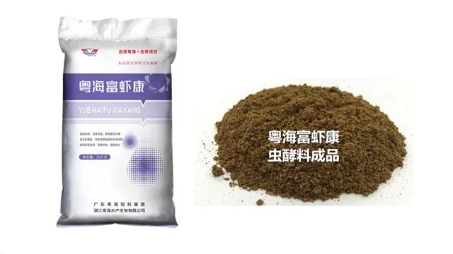 泥鳅冬季开花的养殖技术,泥鳅开花做法