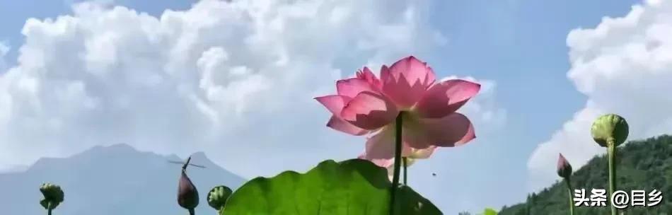 老年人变卖唯一房产 (老人把唯一住房卖掉租房住合适吗)