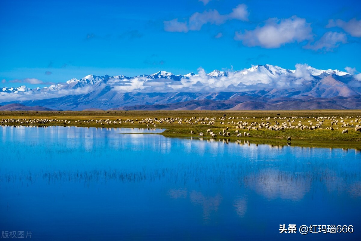 蔚县金河寺传说视频,蔚县金河寺的传说