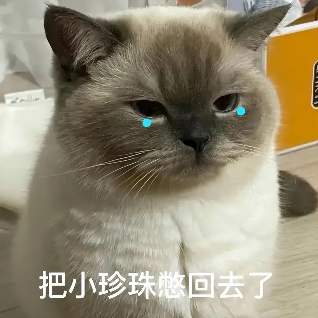 “好开心啊，我终于被人绑架了”