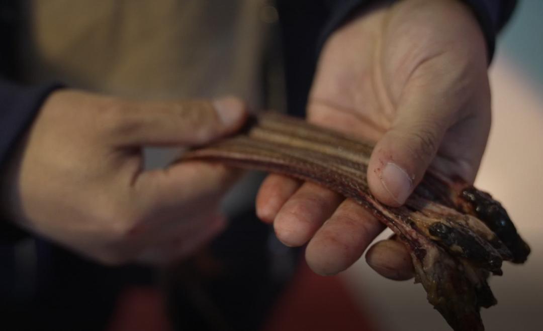我在淘宝卖黄鳝骨头，连着生死，却“希望没有客人”