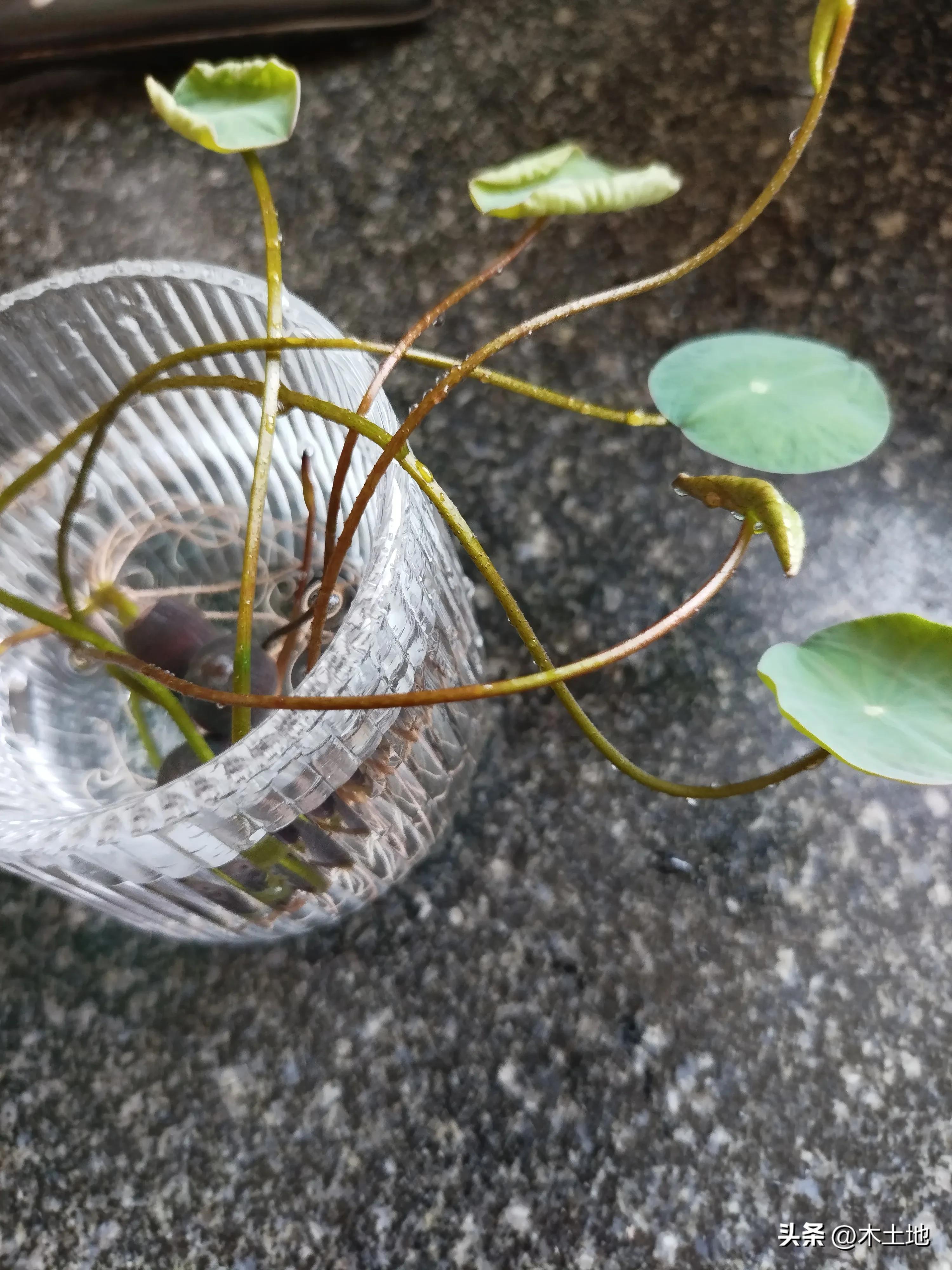 你会在意男性医生给你做检查吗？