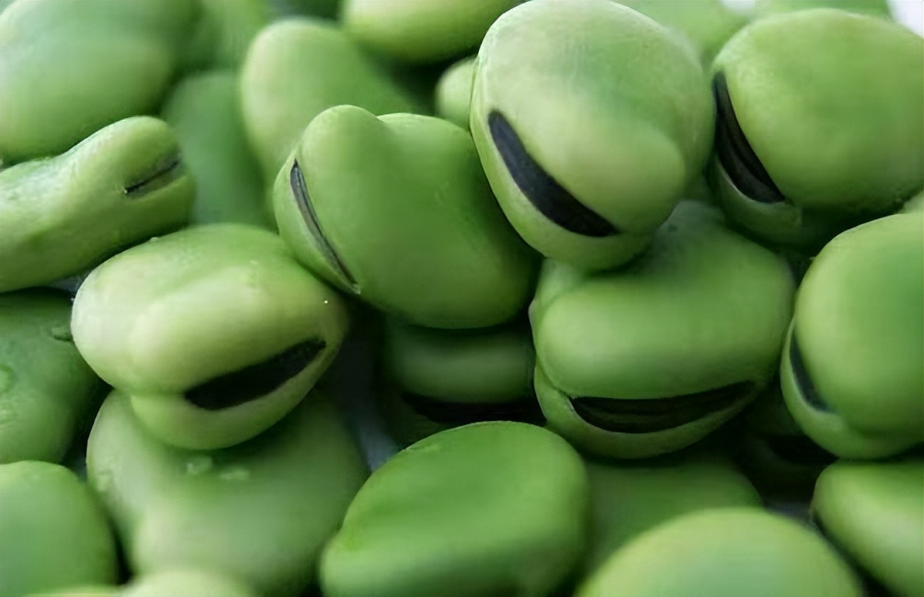 故乡留下太多的记忆,故乡留在我记忆深处的作文