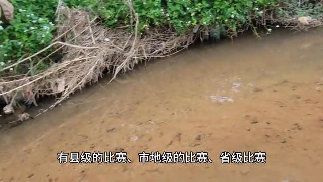 埃及金字塔是用浮力建造的,埃及金字塔是混凝土做的吗