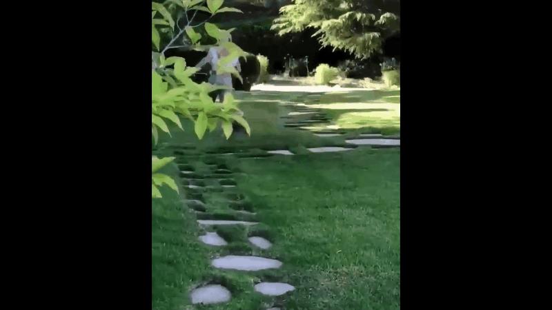 布兰妮被父亲虐待13年,布兰妮被亲生父亲控制了吗