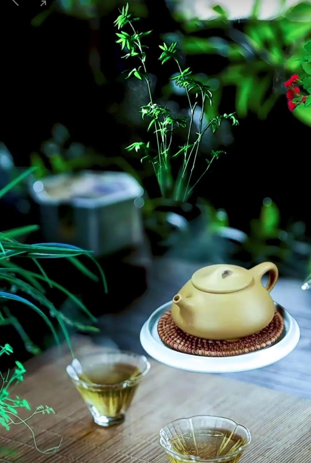 圣人执左契而不责于人释义,圣人执左契而不责于人的意思