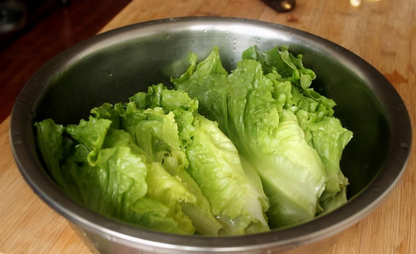 青菜里面种什么菜不长虫子,什么青菜好种又不容易长虫