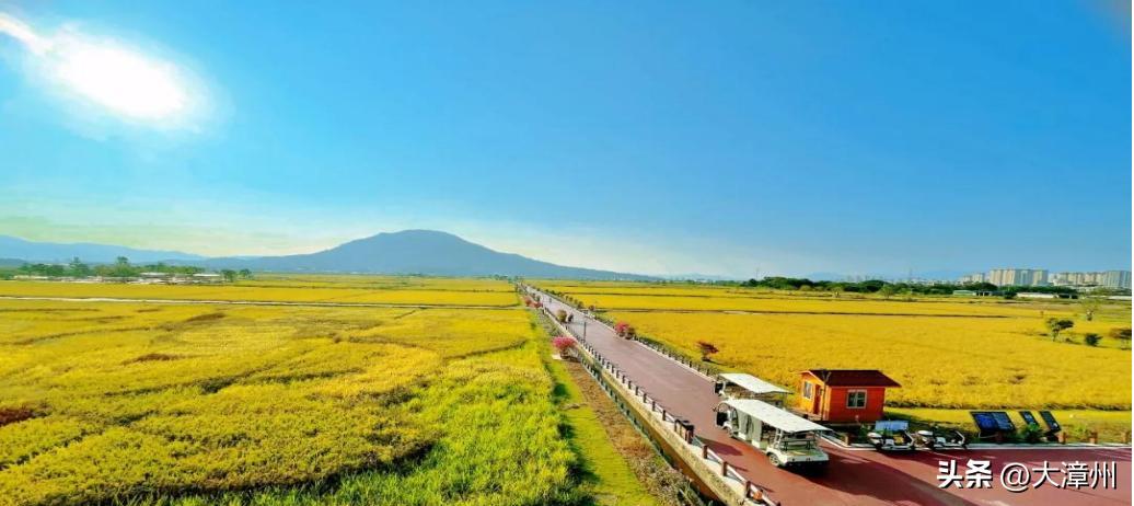 漳州2022年第四次土拍,漳州2020年土地首拍