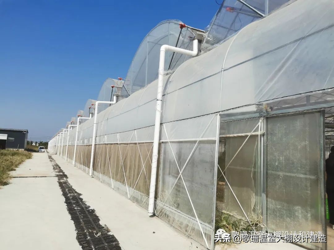 河南热门连栋温室大棚项目,河南蔬菜连栋温室大棚建造
