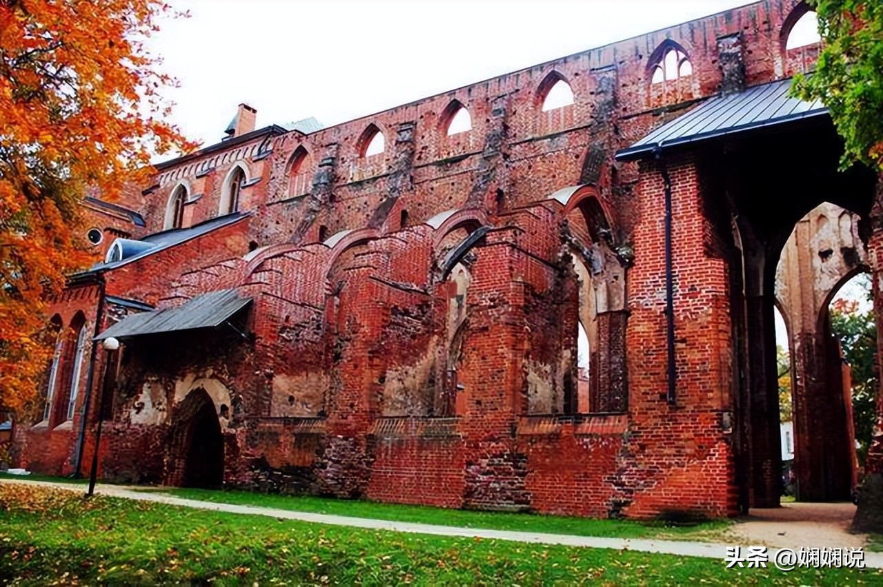 神奇的国家叫什么国,爱沙尼亚波罗的海之虎