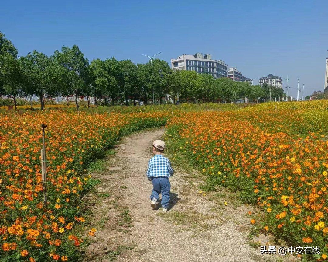 池州可以露营的湿地公园,池州户外露营地推荐