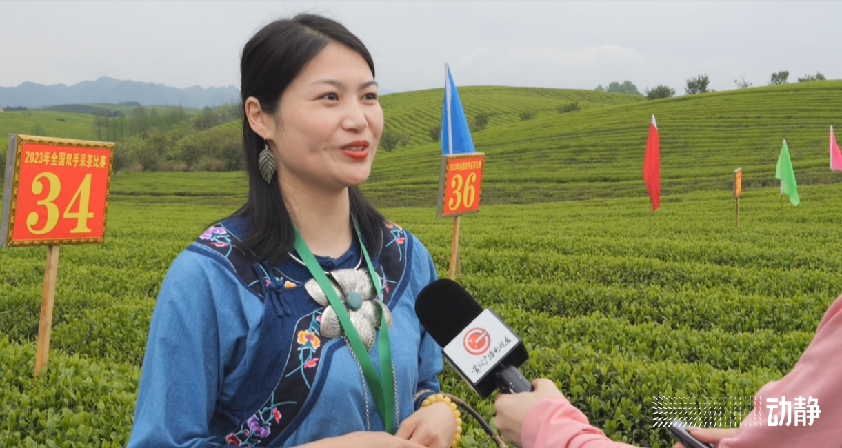 金手指大赛是真的吗,金手指采茶竞赛