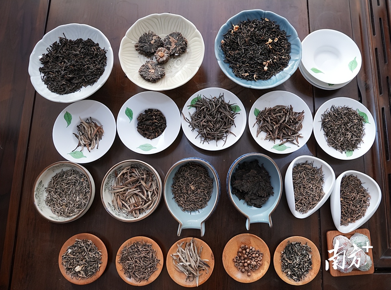 遇见横州：好一朵美丽的茉莉花｜中国十大茶王评比实地考察②