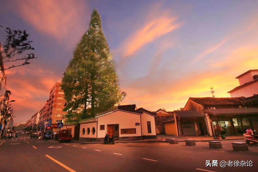 磐安十大美丽乡村,浙江最美县城磐安