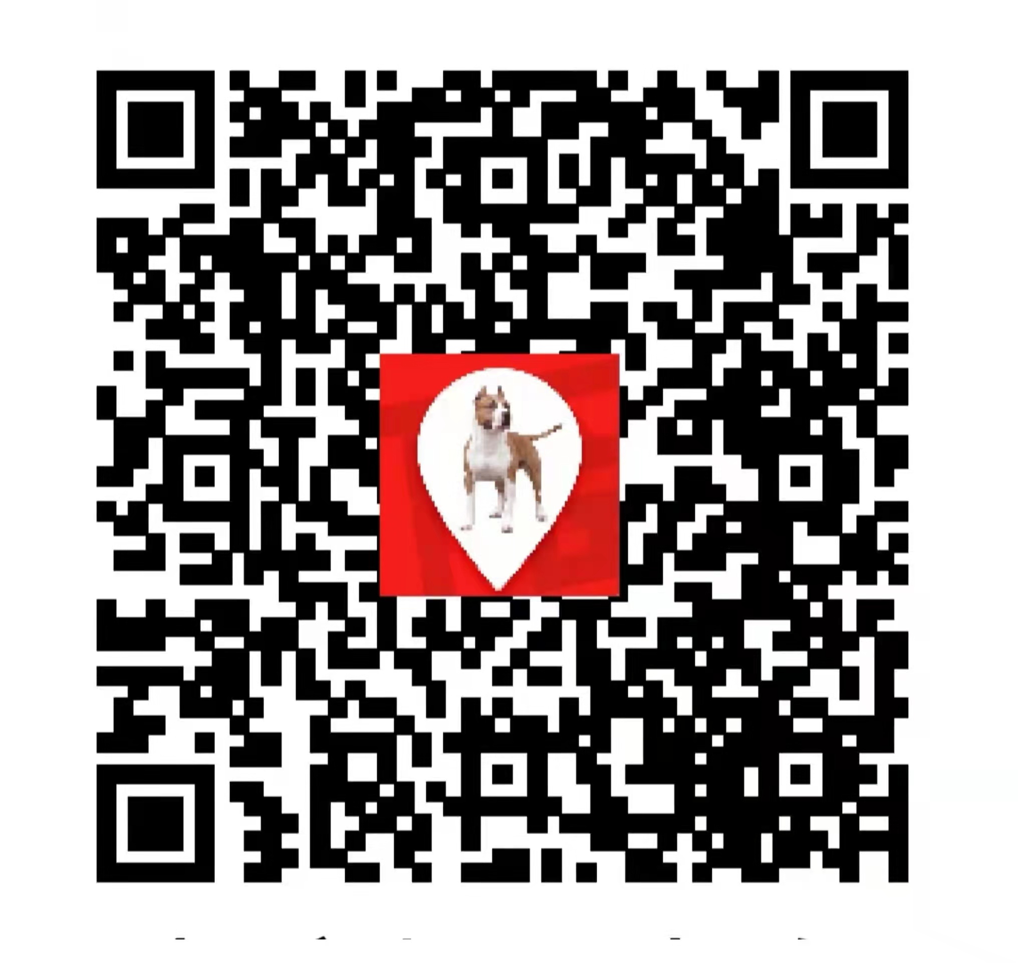 沈阳便民信息平台小程序,沈阳同城便民信息服务平台