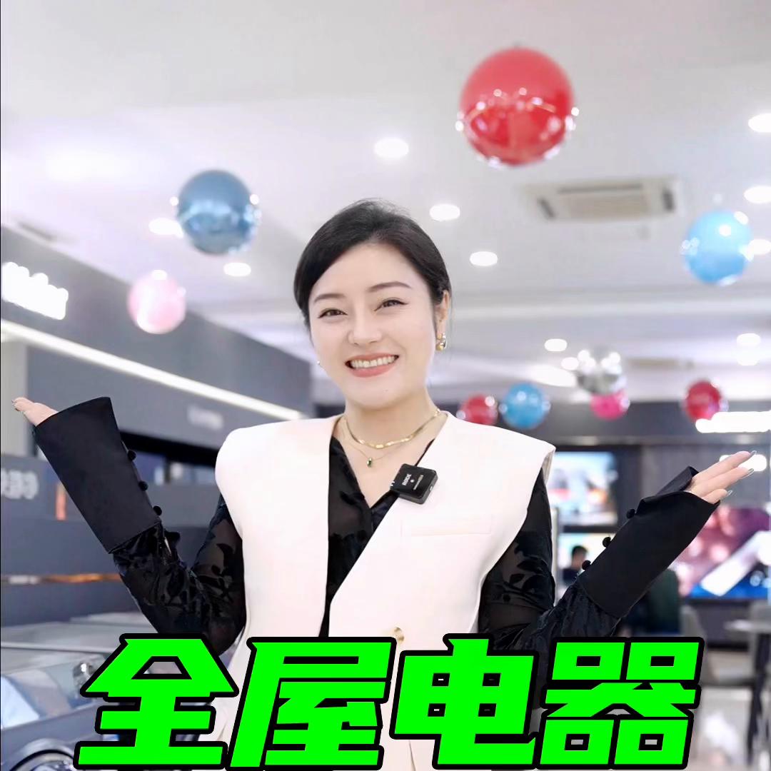 在盐城都是什么身份的人才配得上这样的家电艺术品？#家电选购