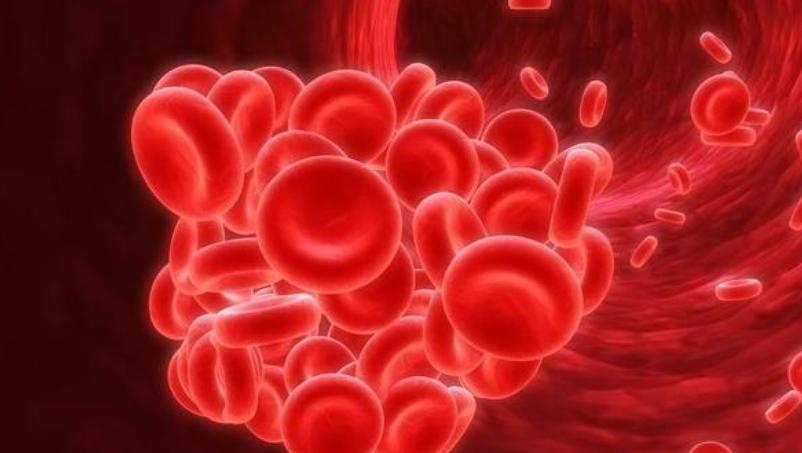 花生是心血管病的克星还是营养品,花生是心血管的祸根还是福音