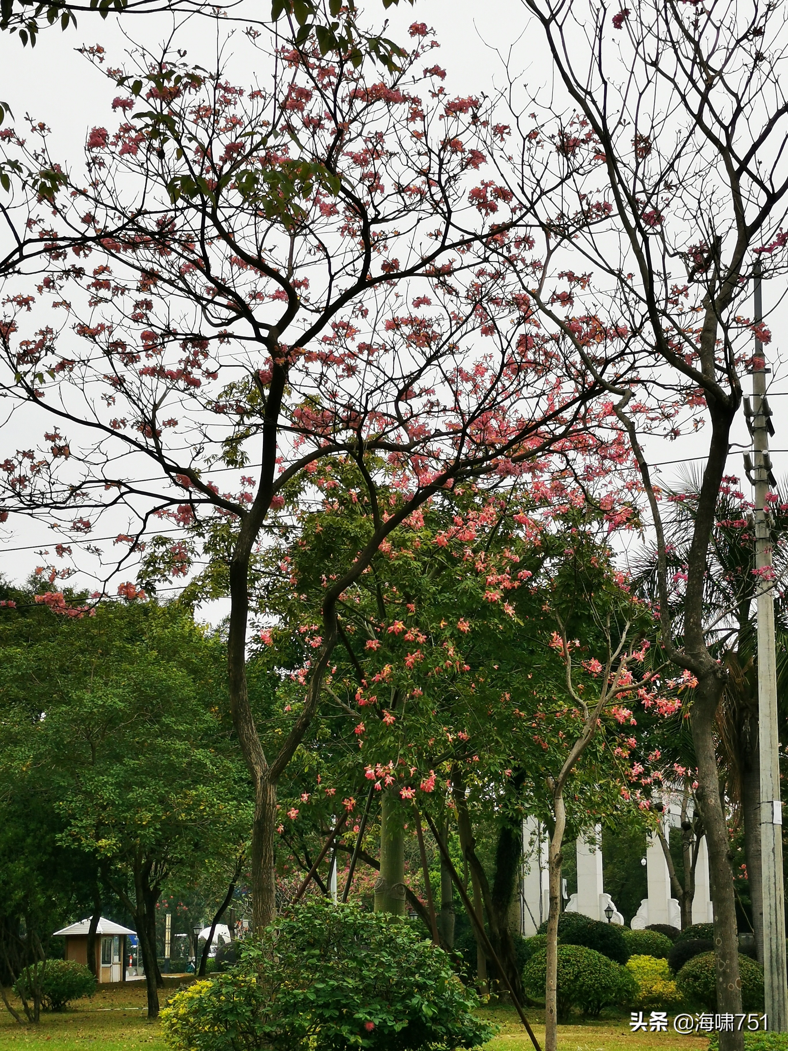 陈田花园全景图,陈田花园照片
