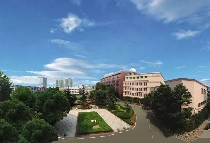 江岸未来教育政策,为什么说江岸区教育好