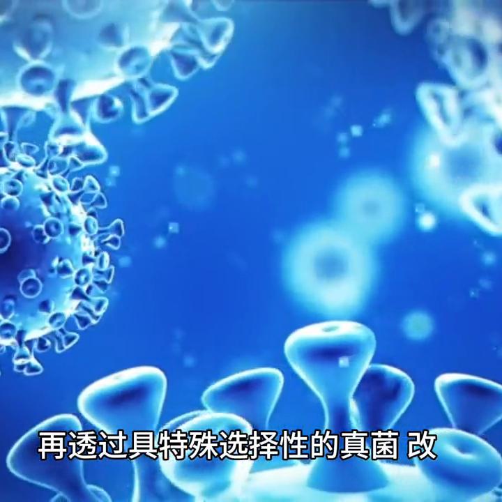 人参皂苷的抖音,关于有人参皂苷的抖音