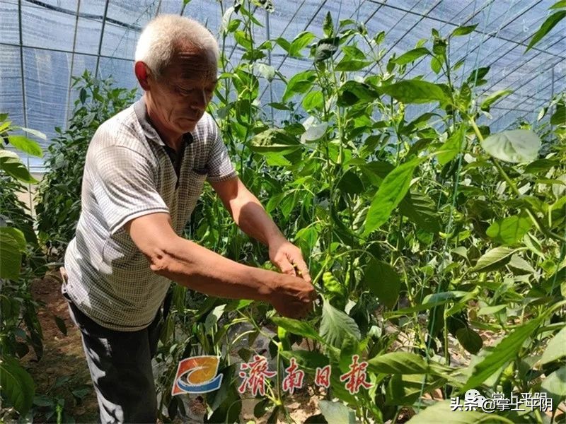 党建赋能产旅融合发展简介,党建产业链发展成果共享