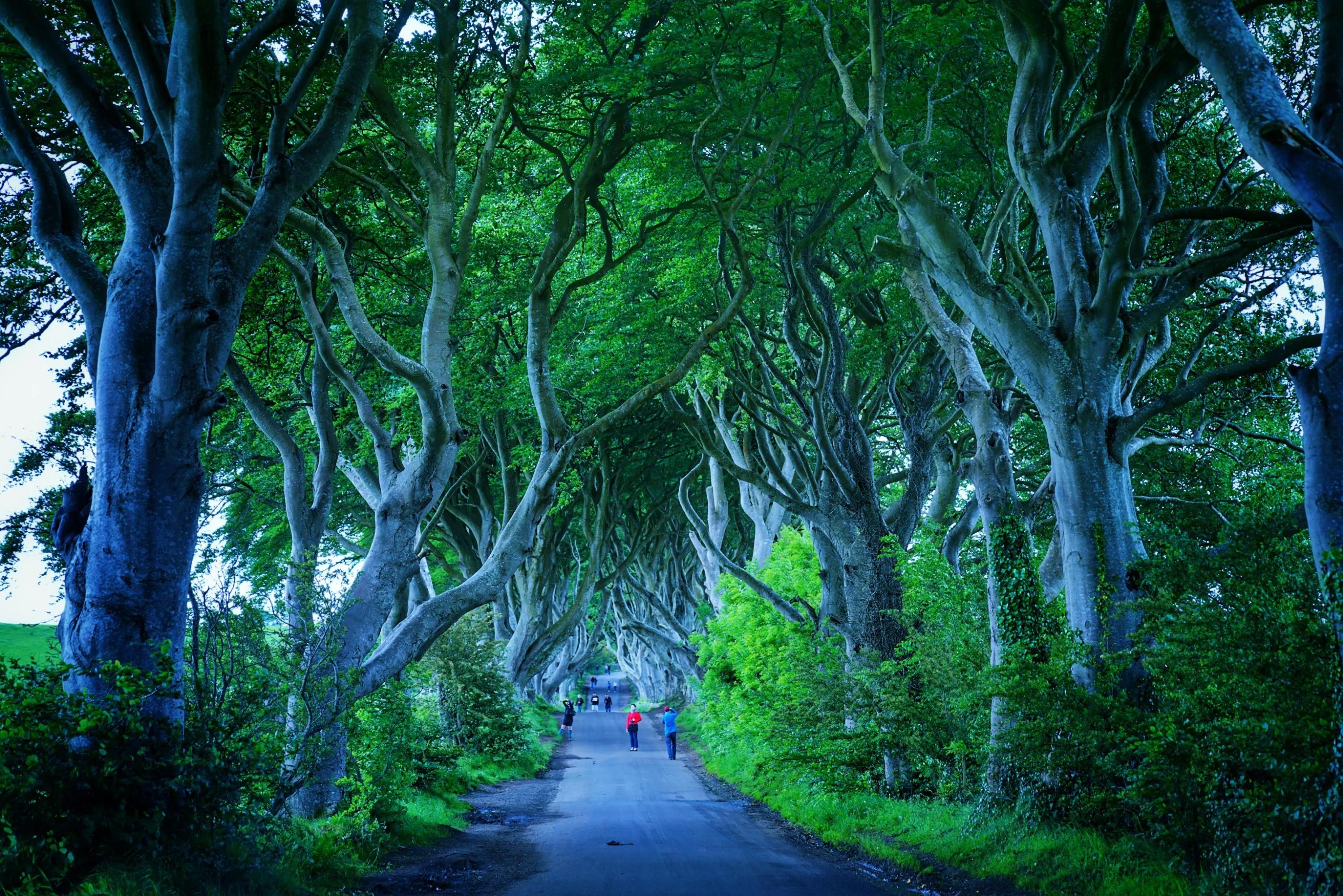 英伦三岛贝尔法斯特,体验权力的游戏