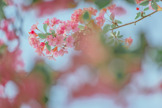 关于充满希望的文案,希望不被辜负的句子文案