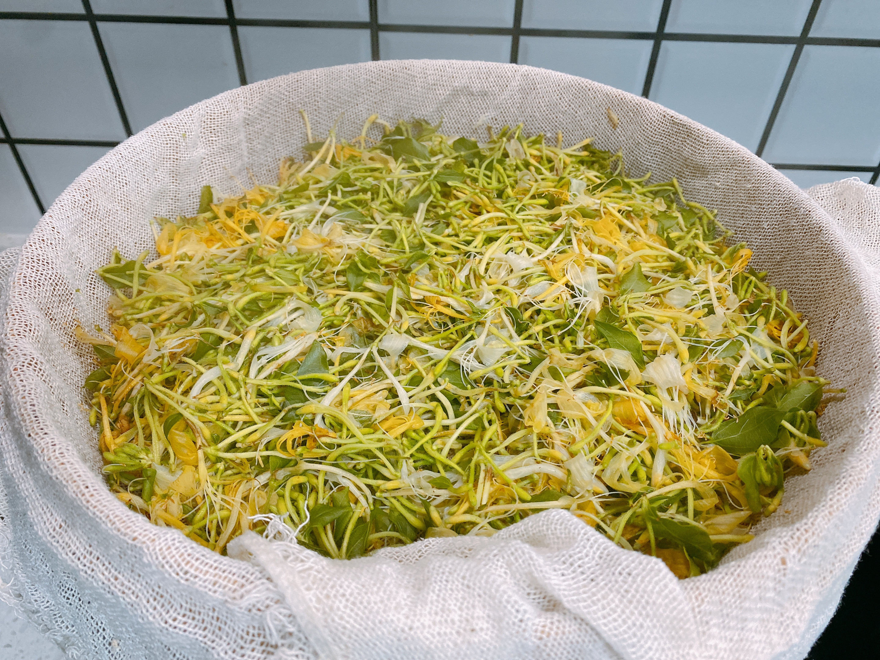 如何自制金银花茶,家庭制作金银花茶的方法