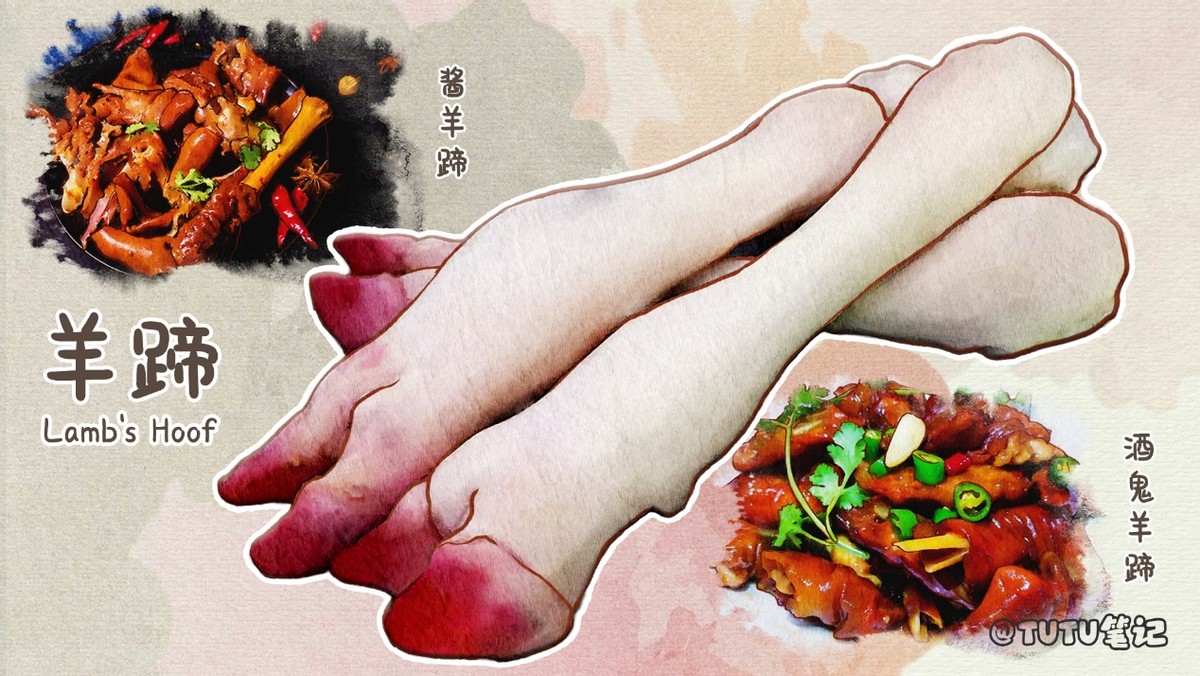 常见羊肉吃法和分类,史上最全羊肉各部位吃法
