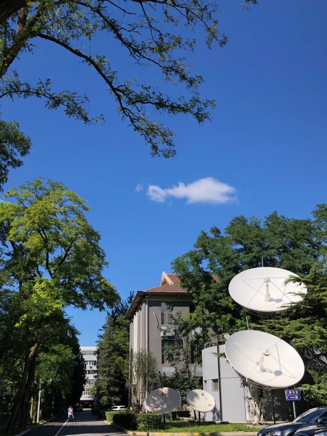 美丽的人民日报大院，我们温暖的家