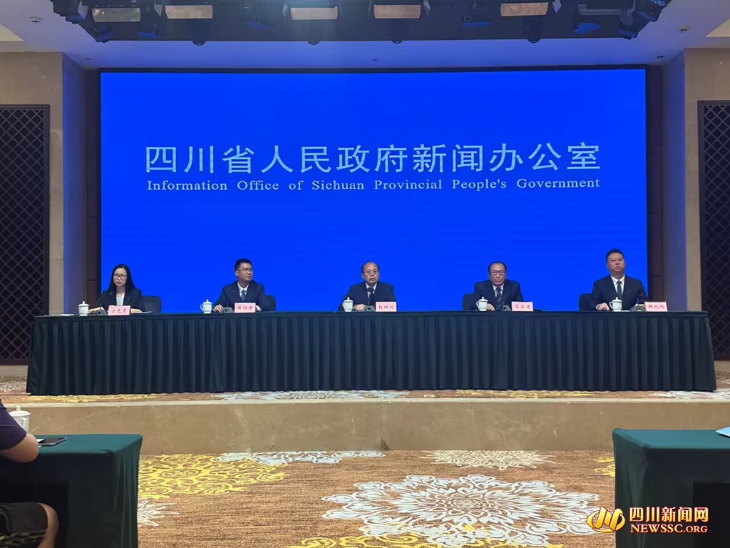 凉山彝族火把节开幕式回看,第八届凉山火把节广场舞展演