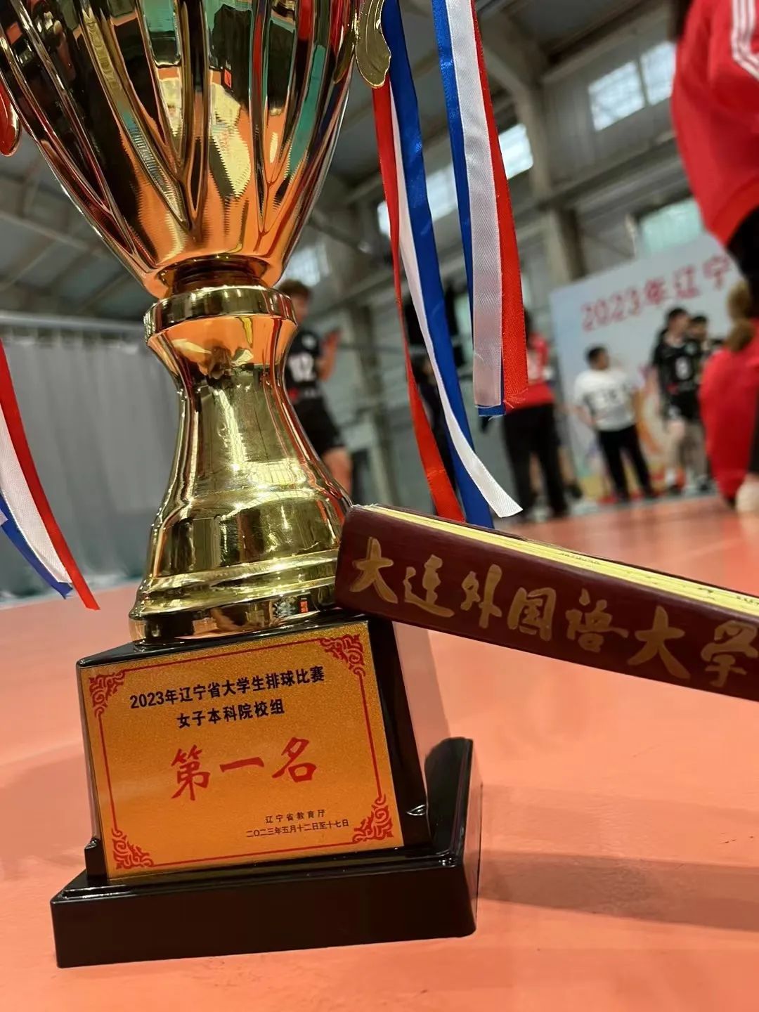 大外快讯|省赛六连冠！你可以永远相信大外女排！