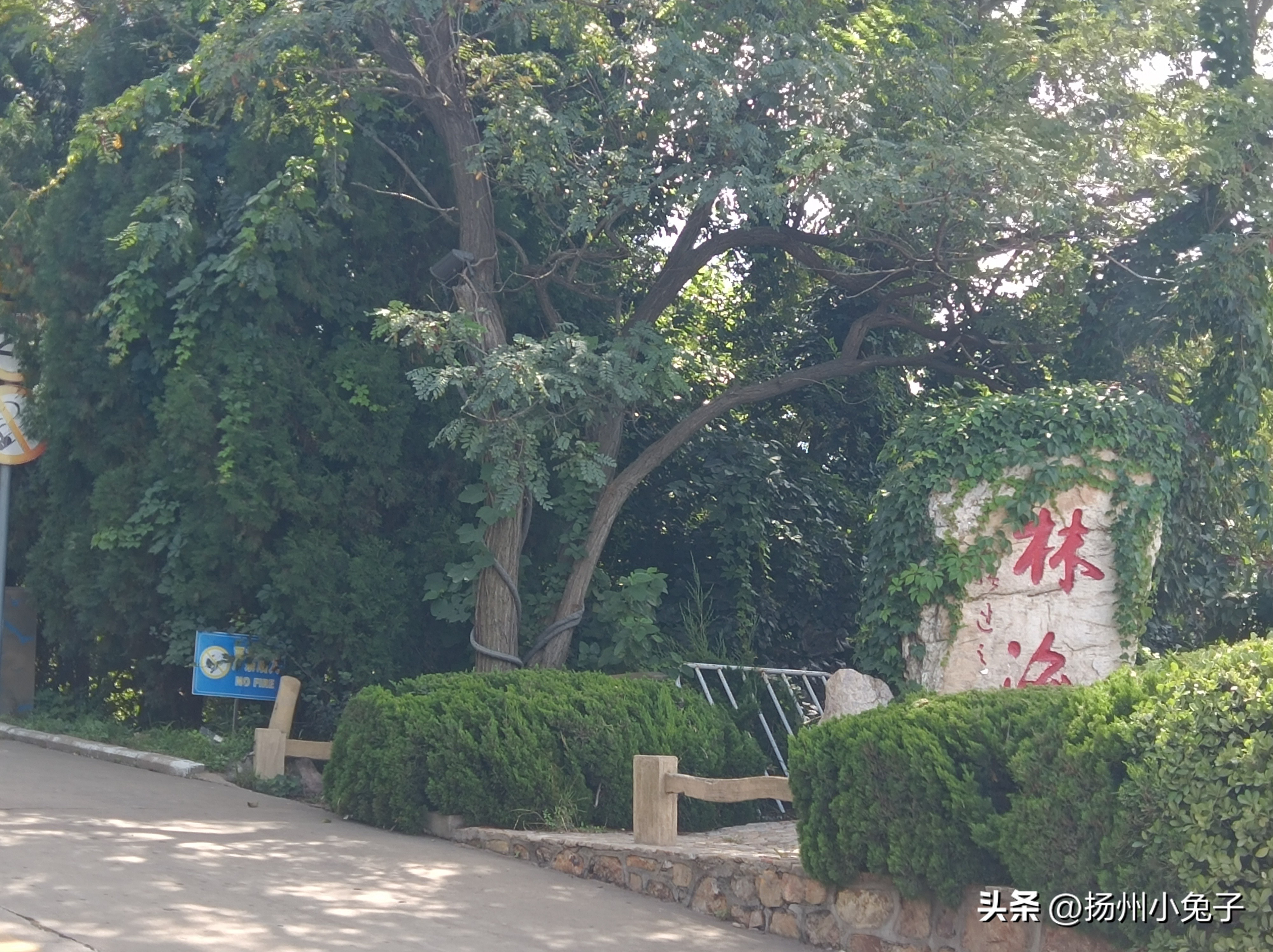 去林海需要爬山吗,到荒山野岭探险