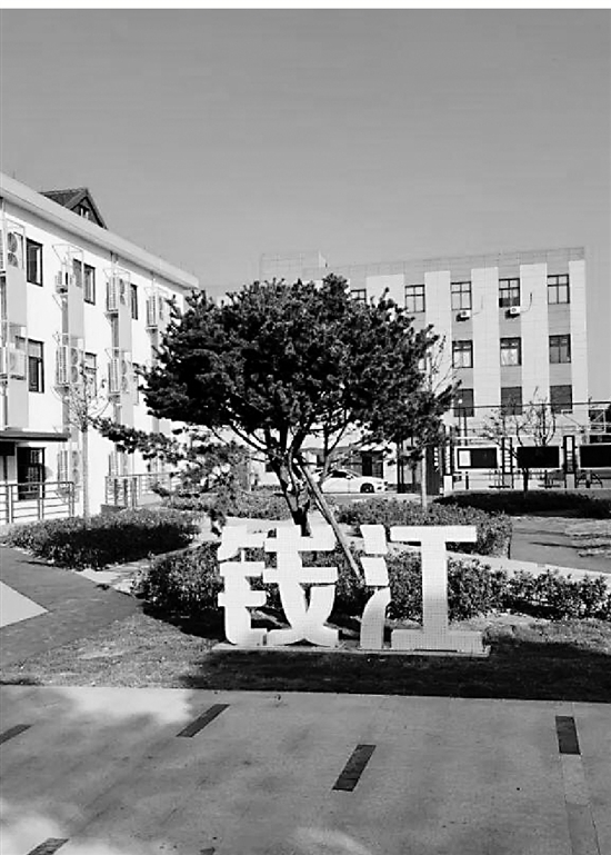 激活神经末梢建强基层党组织,如何激活基层治理活力