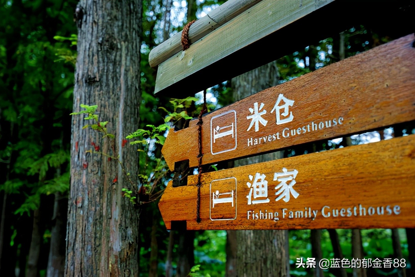 无名河我心中的伊甸园,画出我心中的伊甸园