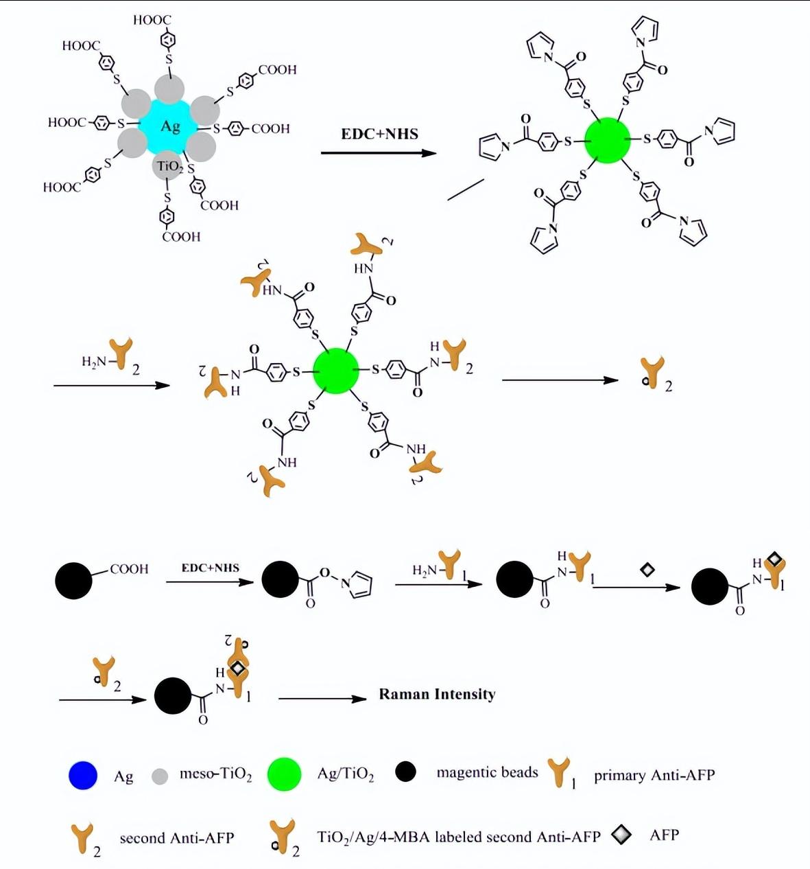 基于介孔TiO2/Ag纳米复合材料的拉曼免疫传感器研究
