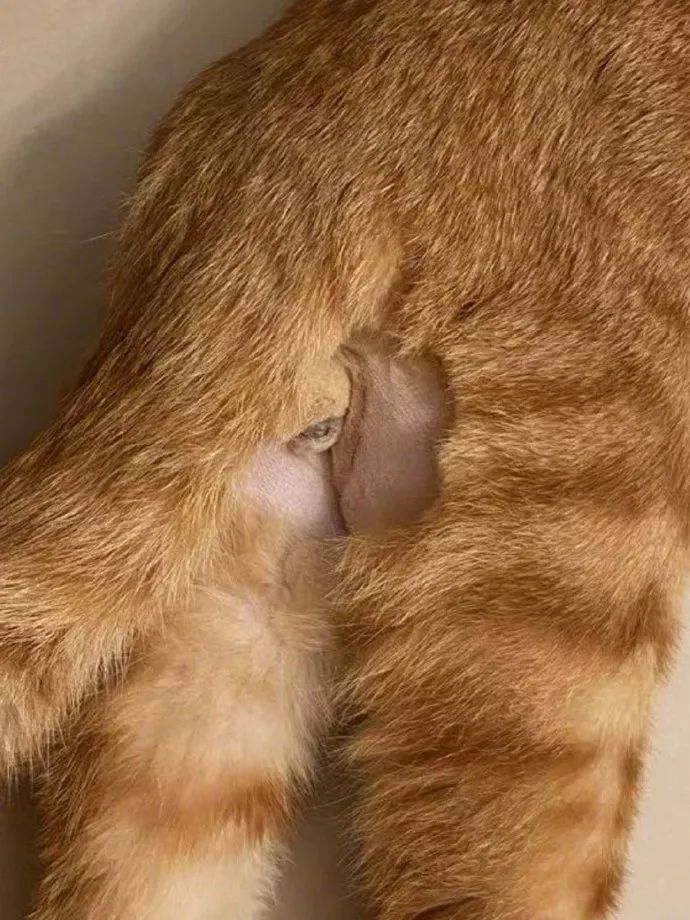 男朋友送6000的礼物,男朋友送了个7000的包分手要还吗