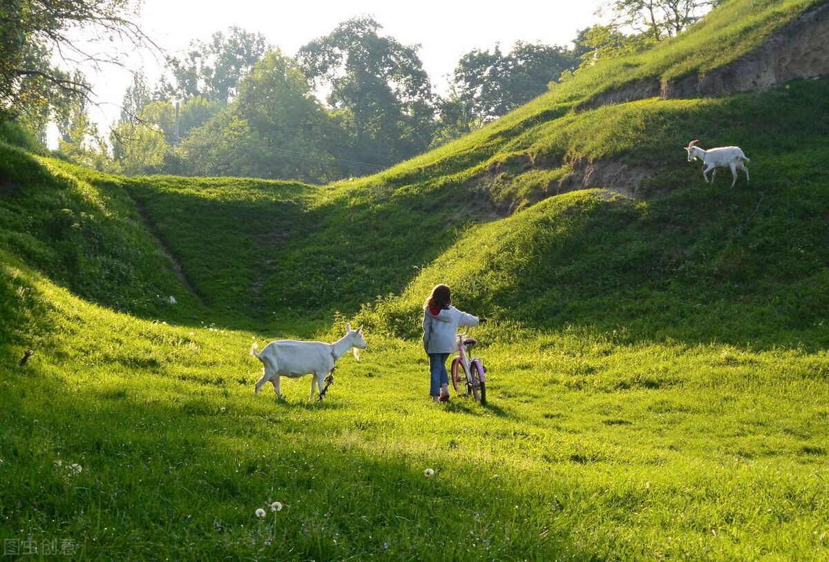 张娜农村歌手,张娜农村