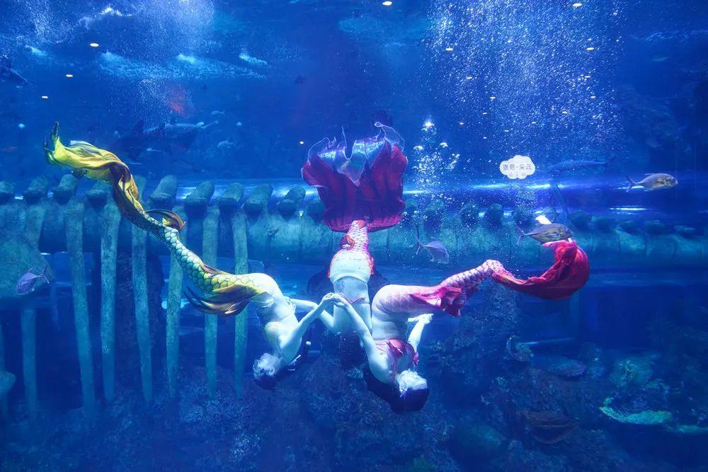 西安炎炎夏日游玩攻略,西安避暑纳凉好去处都市快报