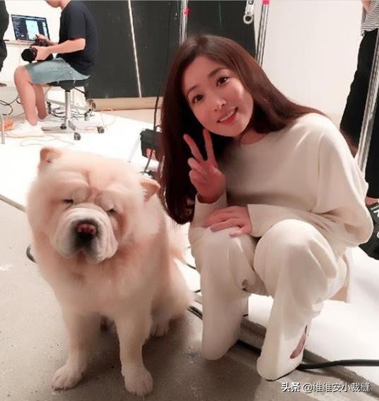 传闻中的七公主美七崔贞媛现状,崔贞媛美七