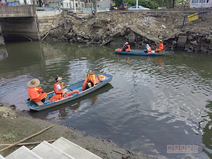 大良红岗开展水质研习活动，40对亲子家庭一起美岸