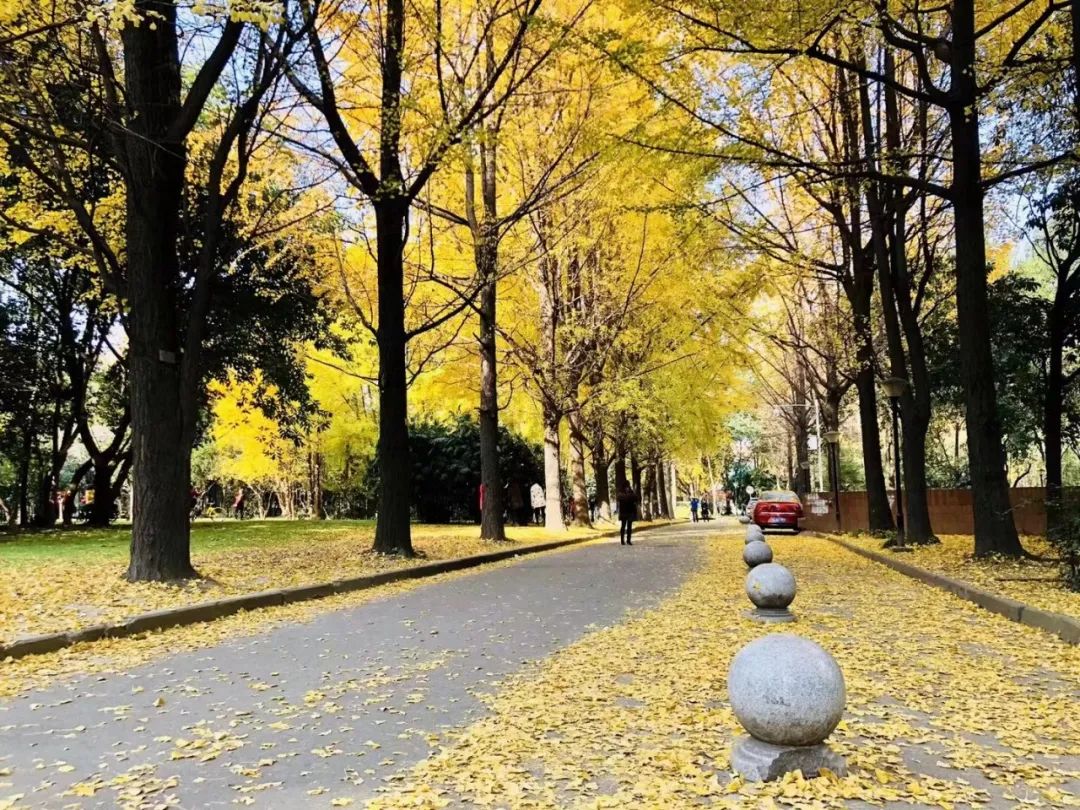 西南交大是男生多还是女生多,西南交大最简单的学历