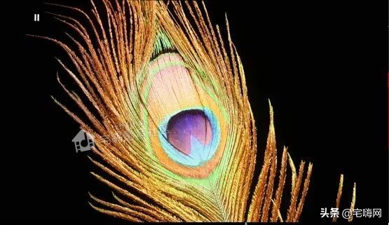 三星samsung55英寸oled测评,三星lsp9t评测