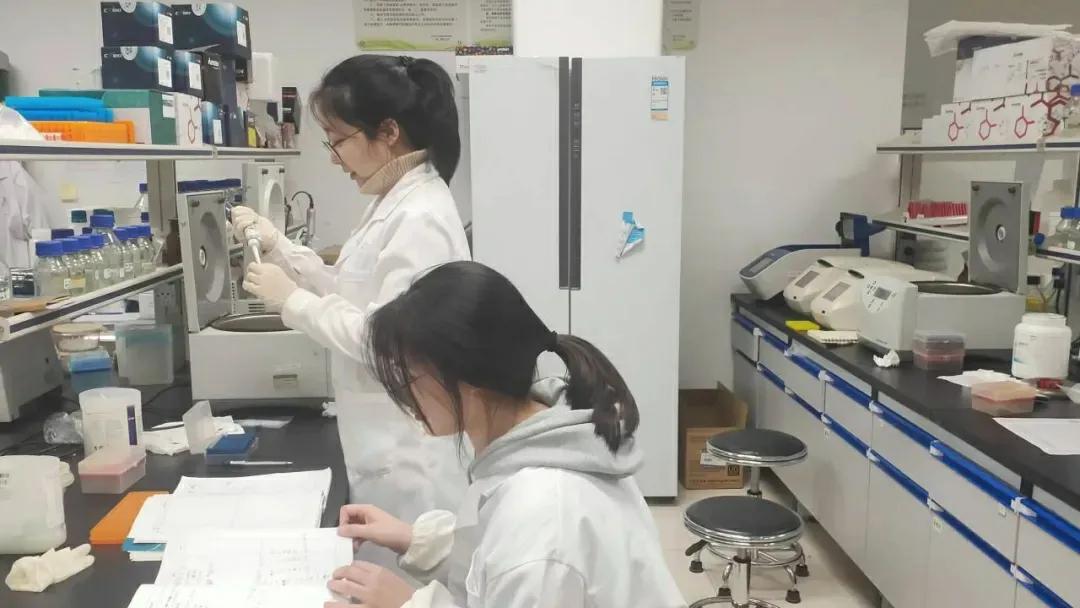 杭州师范大学精进杯,杭师大精进杯