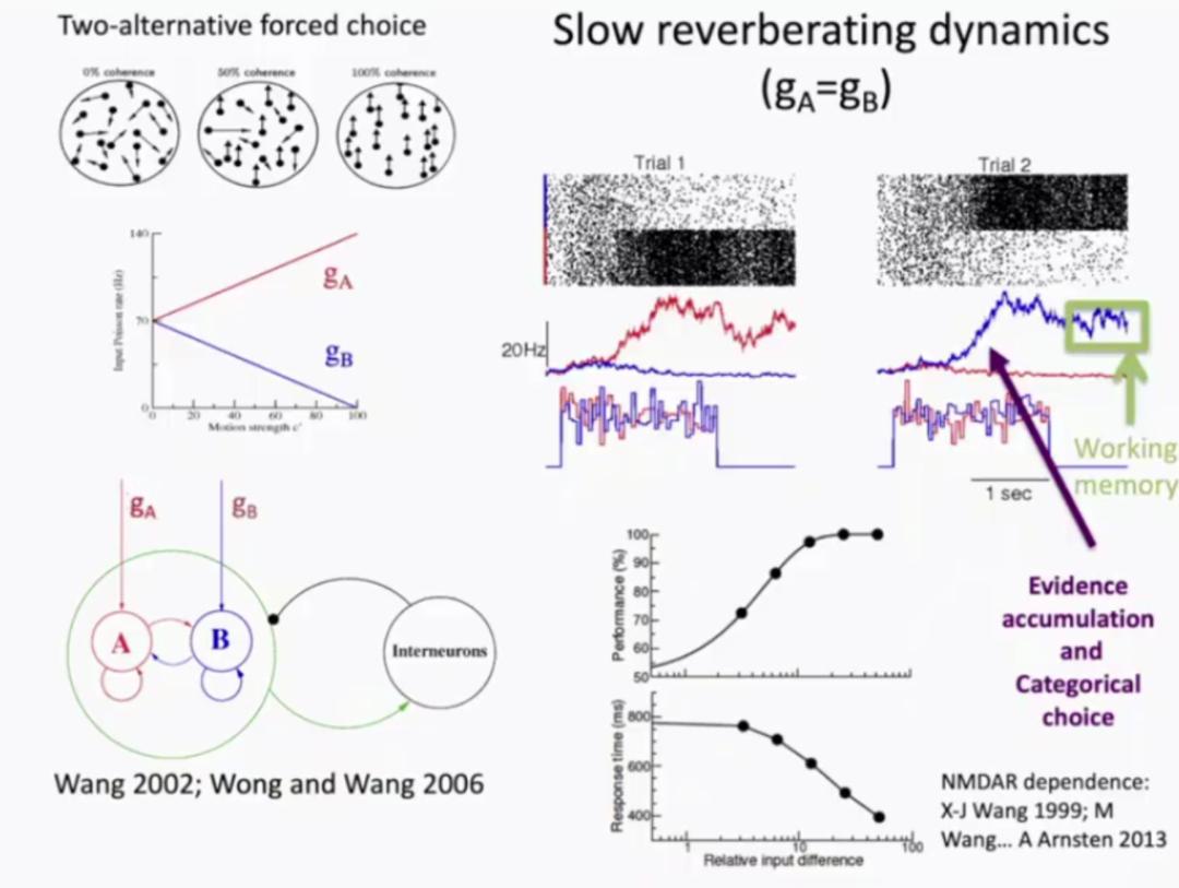 汪小京：将神经元变为数学模型和算法，在人脑和AI间架起桥梁