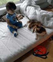 和猫睡觉总是半夜被吵醒,跟猫睡为什么会做噩梦