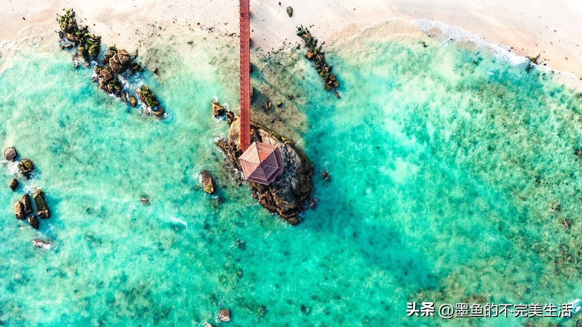 万宁不止产槟榔,还有一种本地人超爱的“芝草”,却走不出海南岛